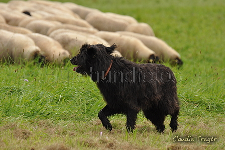 AAH Bundeshüten 2017 / Bild 285 von 352 / 10.09.2017 13:49 / DSC_4955.JPG