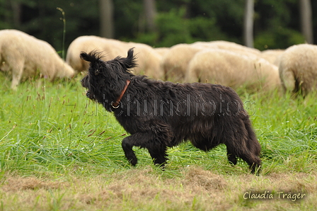 AAH Bundeshüten 2017 / Bild 293 von 352 / 10.09.2017 13:53 / DSC_5031.JPG