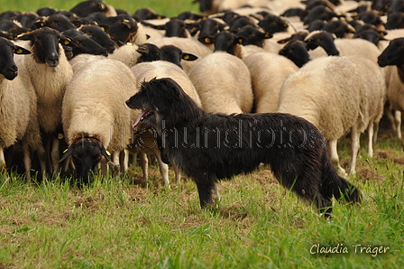 AAH Bundeshüten 2017 / Bild 297 von 352 / 10.09.2017 14:09 / DSC_5183.JPG