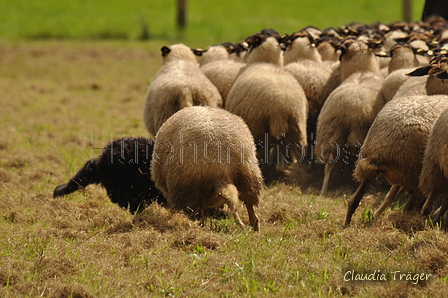 AAH Bundeshüten 2017 / Bild 313 von 352 / 10.09.2017 14:27 / DSC_5453.JPG