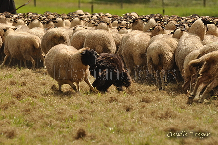 AAH Bundeshüten 2017 / Bild 316 von 352 / 10.09.2017 14:27 / DSC_5460.JPG