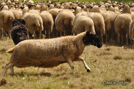 AAH Bundeshüten 2017 / Bild 320 von 352 / 10.09.2017 14:27 / DSC_5465.JPG