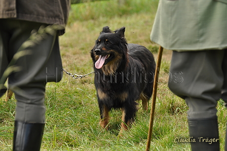 AAH Bundeshüten 2017 / Bild 326 von 352 / 10.09.2017 15:00 / DSC_5682.JPG