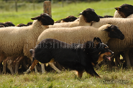 AAH Bundeshüten 2017 / Bild 332 von 352 / 10.09.2017 15:06 / DSC_5750.JPG