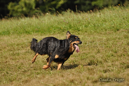 AAH Bundeshüten 2017 / Bild 339 von 352 / 10.09.2017 15:20 / DSC_5899.JPG