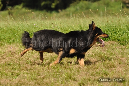 AAH Bundeshüten 2017 / Bild 340 von 352 / 10.09.2017 15:20 / DSC_5901.JPG