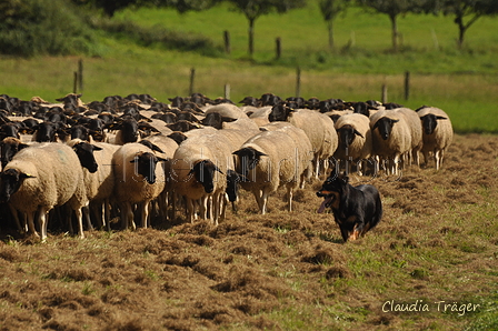 AAH Bundeshüten 2017 / Bild 342 von 352 / 10.09.2017 15:28 / DSC_5989.JPG