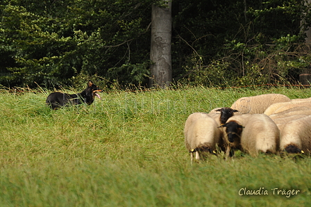 AAH Bundeshüten 2017 / Bild 344 von 352 / 10.09.2017 15:41 / DSC_6113.JPG