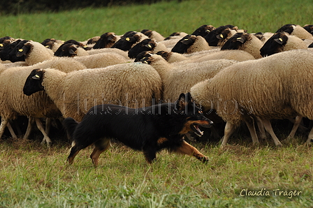 AAH Bundeshüten 2017 / Bild 346 von 352 / 10.09.2017 15:51 / DSC_6200.JPG