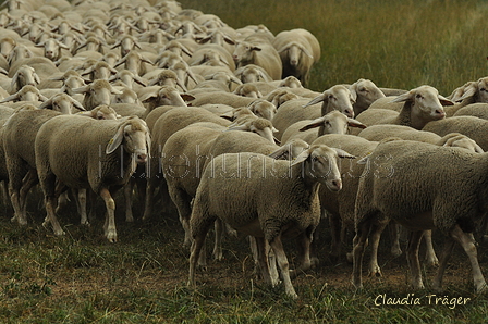 AAH Bundeshüten 2019 / Bild 2 von 88 / 07.09.2019 10:05 / DSC_5919.JPG