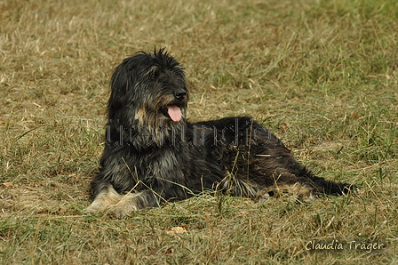 AAH Bundeshüten 2019 / Bild 14 von 88 / 07.09.2019 12:15 / DSC_6720.JPG