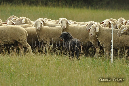 AAH Bundeshüten 2019 / Bild 15 von 88 / 07.09.2019 12:28 / DSC_6866.JPG