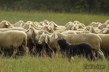 AAH Bundeshüten 2019 / Bild 18 von 88 / 07.09.2019 12:29 / DSC_6878.JPG