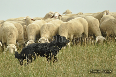 AAH Bundeshüten 2019 / Bild 21 von 88 / 07.09.2019 12:32 / DSC_6958.JPG