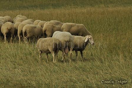 AAH Bundeshüten 2019 / Bild 23 von 88 / 07.09.2019 12:43 / DSC_7196.JPG