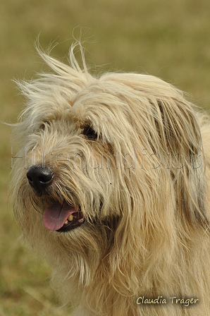 AAH Bundeshüten 2019 / Bild 33 von 88 / 07.09.2019 14:32 / DSC_8607.JPG