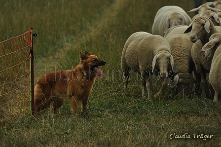 AAH Bundeshüten 2019 / Bild 42 von 88 / 07.09.2019 15:45 / DSC_9336.JPG