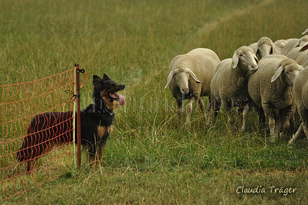 AAH Bundeshüten 2019 / Bild 45 von 88 / 08.09.2019 10:32 / DSC_0103.JPG