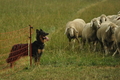 AAH Bundeshüten 2019 / Bild 45 von 88 / 08.09.2019 10:32 / DSC_0103.JPG