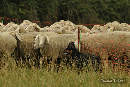 AAH Bundeshüten 2019 / Bild 48 von 88 / 08.09.2019 11:12 / DSC_0247.JPG