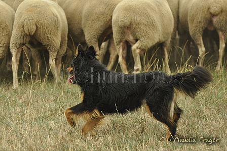 AAH Bundeshüten 2019 / Bild 49 von 88 / 08.09.2019 11:20 / DSC_0371.JPG