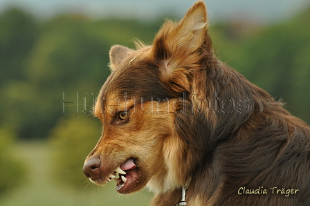 AAH Bundeshüten 2019 / Bild 54 von 88 / 08.09.2019 12:19 / DSC_0903.JPG