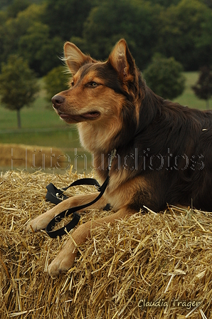 AAH Bundeshüten 2019 / Bild 55 von 88 / 08.09.2019 12:19 / DSC_0909.JPG