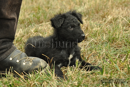 AAH Bundeshüten 2019 / Bild 68 von 88 / 08.09.2019 12:37 / DSC_1206.JPG