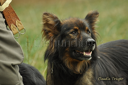 AAH Bundeshüten 2019 / Bild 76 von 88 / 08.09.2019 14:13 / DSC_1888.JPG