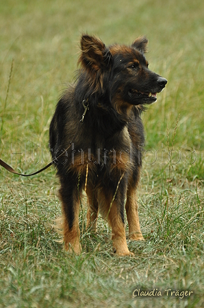 AAH Bundeshüten 2019 / Bild 79 von 88 / 08.09.2019 14:15 / DSC_1928.JPG