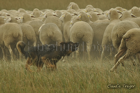 AAH Bundeshüten 2019 / Bild 87 von 88 / 08.09.2019 14:42 / DSC_2423.JPG