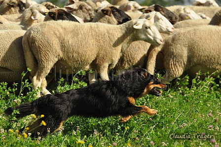 AAH Freundschaftshüten / Bild 9 von 124 / 23.07.2017 09:47 / DSC_2688.JPG