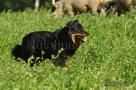 AAH Freundschaftshüten / Bild 10 von 124 / 23.07.2017 09:50 / DSC_2734.JPG