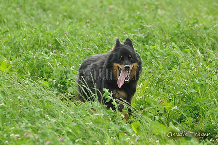 AAH Freundschaftshüten / Bild 16 von 124 / 23.07.2017 10:04 / DSC_2894.JPG