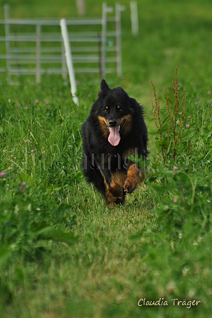 AAH Freundschaftshüten / Bild 21 von 124 / 23.07.2017 10:07 / DSC_2969.JPG