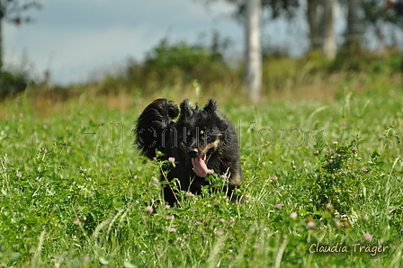 AAH Freundschaftshüten / Bild 34 von 124 / 23.07.2017 10:52 / DSC_3361.JPG