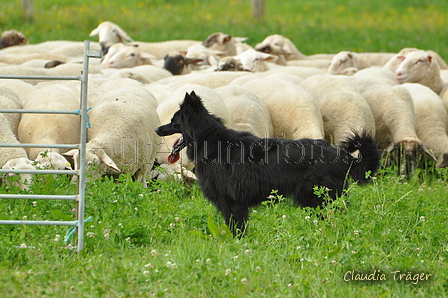 AAH Freundschaftshüten / Bild 42 von 124 / 23.07.2017 11:09 / DSC_3607.JPG