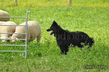 AAH Freundschaftshüten / Bild 44 von 124 / 23.07.2017 11:09 / DSC_3614.JPG