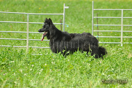 AAH Freundschaftshüten / Bild 45 von 124 / 23.07.2017 11:09 / DSC_3623.JPG