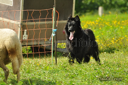 AAH Freundschaftshüten / Bild 49 von 124 / 23.07.2017 11:15 / DSC_3755.JPG