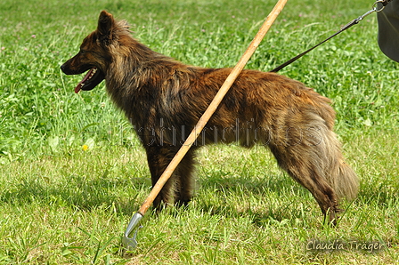 AAH Freundschaftshüten / Bild 57 von 124 / 23.07.2017 11:33 / DSC_3892.JPG