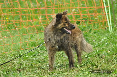 AAH Freundschaftshüten / Bild 59 von 124 / 23.07.2017 11:38 / DSC_3936.JPG