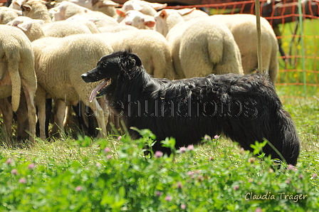 AAH Freundschaftshüten / Bild 91 von 124 / 23.07.2017 13:43 / DSC_4838.JPG