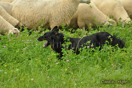 AAH Freundschaftshüten / Bild 97 von 124 / 23.07.2017 14:13 / DSC_5002.JPG