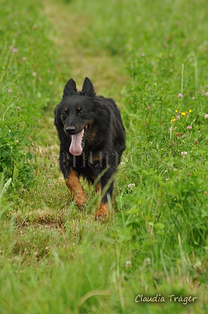 AAH Freundschaftshüten / Bild 98 von 124 / 23.07.2017 14:13 / DSC_5017.JPG