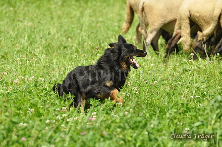 AAH Freundschaftshüten / Bild 109 von 124 / 23.07.2017 14:35 / DSC_5391.JPG