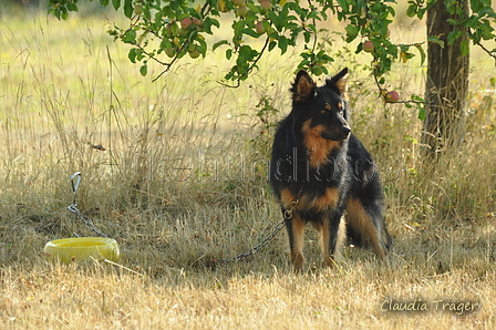 AAH Freundschaftshüten / Bild 1 von 151 / 29.07.2018 08:42 / DSC_6393.JPG