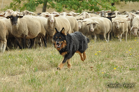 AAH Freundschaftshüten / Bild 7 von 151 / 29.07.2018 10:05 / DSC_6626.JPG