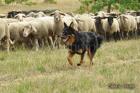 AAH Freundschaftshüten / Bild 9 von 151 / 29.07.2018 10:05 / DSC_6632.JPG