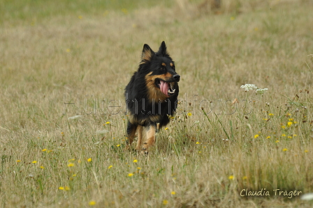 AAH Freundschaftshüten / Bild 12 von 151 / 29.07.2018 10:12 / DSC_6784.JPG